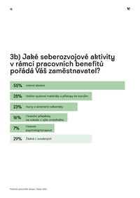Průzkum pracovního tempa v Česku 2023_Stránka_15