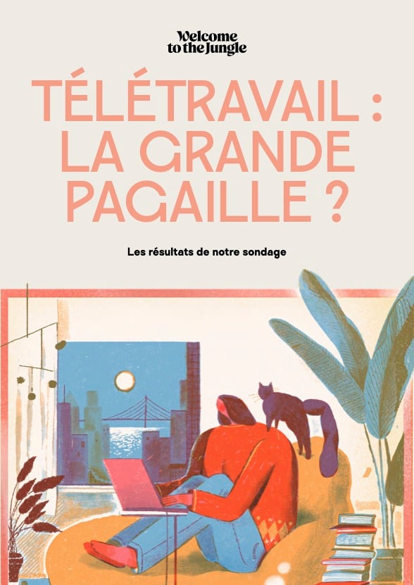 Télétravail - la grande pagaille cover