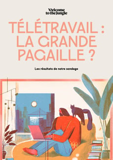 Télétravail - la grande pagaille cover